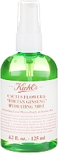 Fragrances, Perfumes, Cosmetics Refreshing and Moisturizing Facial Mist - Kiehl's Cactus and Ginseng Mist