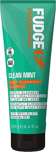 Deep Cleansing Shampoo - Fudge Clean Mint Shampoo — photo N1