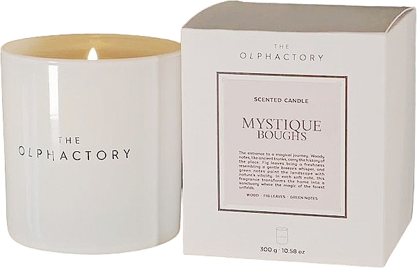 Scented Candle - Ambientair The Olphactory Mystique Boughs Scented Candle — photo N1