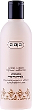 Fragrances, Perfumes, Cosmetics Argan Oil Shampoo - Ziaja Shampoo