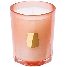 Scented Candle 'Tuileries' - Cire Trudon — photo N1