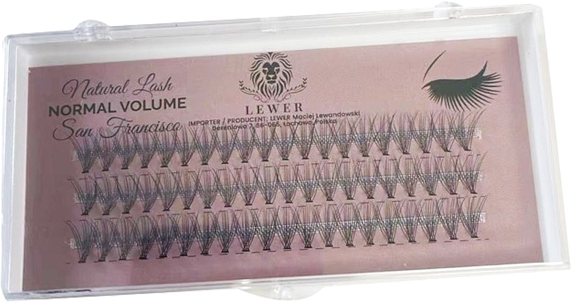 Lewer Natural Lash Normal Volume San Francisco - Individual False Lashes, 14 mm C, 60 pcs — photo N1