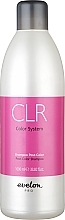 Colored Hair Shampoo - Parisienne Evelon Pro Color System Post Color Shampoo — photo N1