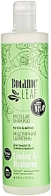 Fragrances, Perfumes, Cosmetics Micellar Shampoo for Fine and Dull Hair 'Volume & Shine' - Botanic Leaf