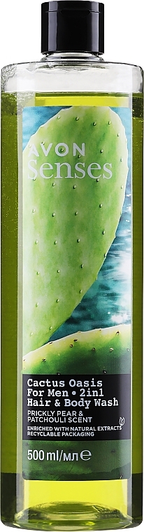 Shampoo-Shower Gel "Cactus" 2in1 for Men - Avon Senses Cactus Ridge Hair & Body Wash — photo N1