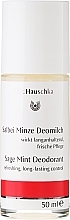 Fragrances, Perfumes, Cosmetics Body Deodorant "Mint & Sage" - Dr. Hauschka Sage Mint Deodorant