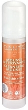 Fragrances, Perfumes, Cosmetics Cleansing Facial Foam - Sante Face Care Schisandra Cleansing Mousse