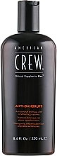 Balancing Anti-Dandruff Shampoo for Oily Scalp - American Crew Anti Dandruff+Sebum Control Shampoo — photo N1