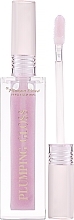 Fragrances, Perfumes, Cosmetics Volumizing Lip Gloss Serum - Pierre Rene Plumping Gloss