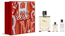 Hermes Terre d’Hermes - Set (edt/100ml + edt/12.5ml + a/sh/lot/40ml) — photo N2