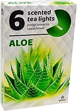 Fragrances, Perfumes, Cosmetics Aloe Tealights, 6 pcs - Admit Scented Tea Light Aloe