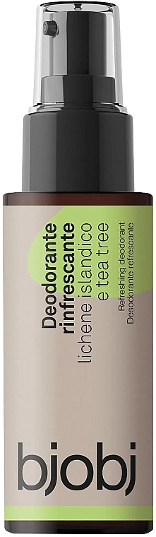 Icelandic Moss & Tea Tree Deodorant Spray - Bjobj Icelandic Moss & Tea Tree Refreshing Deodorant Spray — photo N1