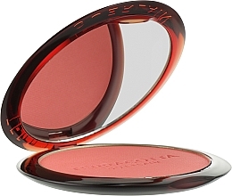 Compact Blush - Guerlain Terracotta Blush Powder — photo N3