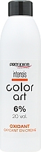 Oxydant 6% - Prosalon Intensis Color Art Oxydant vol 20 — photo N3