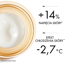 Revitalizing Night Face Cream - Vichy Neovadiol Redensifying Revitalizing Night Cream — photo N5