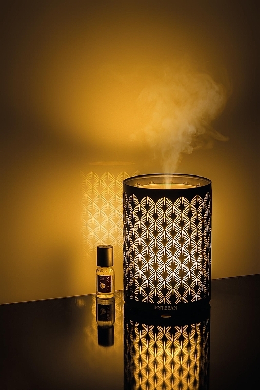 フレグランスディフューザー - Esteban Perfume Mist Diffuser Light & Black Edition	 — photo N2