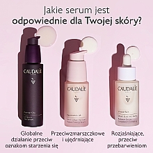 Face Serum - Caudalie Premier Cru The Serum — photo N23