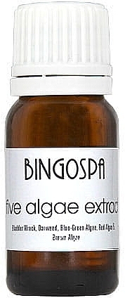 Five Seaweed Extract - BingoSpa — photo N1