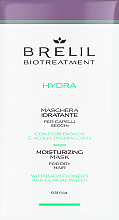 GIFT: Moisturizing Hair Mask - Brelil Bio Treatment Hydra Hair Mask — photo N1