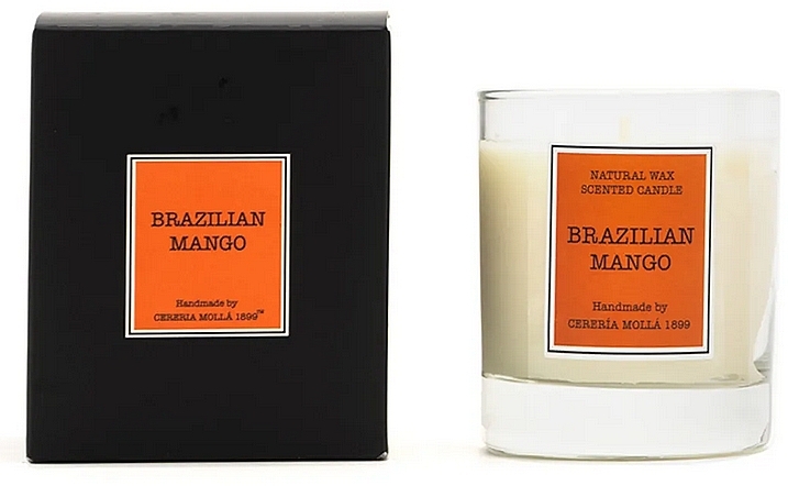 Cereria Molla Brazilian Mango - Scented Candle — photo N1