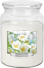 Premium Scented Candle in Jar 'Blooming Jasmine' - Bispol Premium Line Scented Candle Blooming Jasmine — photo N2