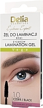 Fragrances, Perfumes, Cosmetics Brow Lamination Gel - Delia Eyebrow Expert Eyebrow Laminztion Gel