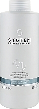 Hair Shampoo - System Professional Volumize Shampoo V1 — photo N1