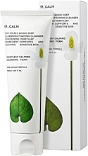 Fragrances, Perfumes, Cosmetics Soothing Face Cleansing Foam - Hue_Calm Heartleaf Calming Cleansing Foam