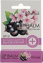 Currant & Cherry Lip Balm - Colour Intense Balamce Lip Balm — photo N2