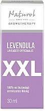 Fragrances, Perfumes, Cosmetics Lavender Essential Oil - Naturol Aromatherapy XXL