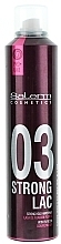 Strong Hold Hair Spray - Salerm Pro Line Strong Lac — photo N1