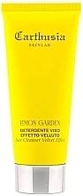 Fragrances, Perfumes, Cosmetics ベルベット エフェクト フェイス クレンザー - Carthusia Skinlab Lemon Garden Face Cleanser Velvet Effect	