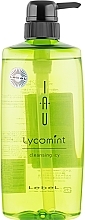 Fragrances, Perfumes, Cosmetics Cleansing Aroma Shampoo - Lebel IAU Lycomint Cleansing ICY