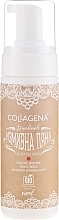 Fragrances, Perfumes, Cosmetics Face Foam for Oily Skin - Collagena Handmade Wash Foam For Oily Skin