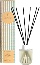 Fragrances, Perfumes, Cosmetics Mandarin, Jasmine & Cedar Wood Fragrance Diffuser - Flagolie Home Perfume