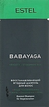 Fragrances, Perfumes, Cosmetics Repairing Berry Shampoo - Estel Professional Babayaga Shampoo (prybka)