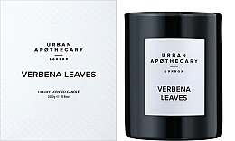 Urban Apothecary Verbena Leaves - Scented Candle — photo N2