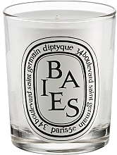 Scented Candle - Diptyque Baies Candle — photo N1