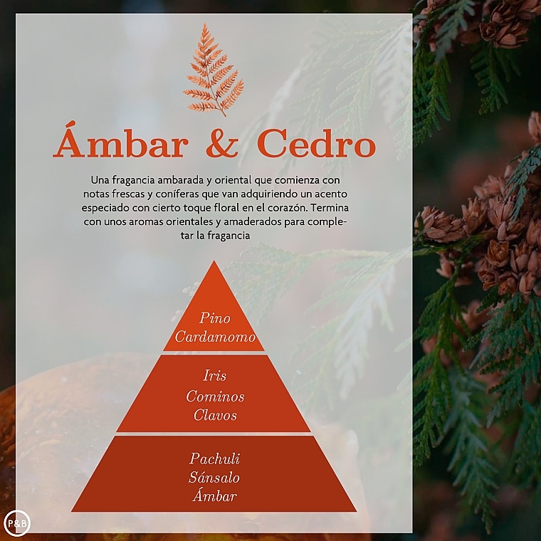 Water-Soluble Aromatic Essence - Ambar Zen Fortaleza Ambar & Cedro — photo N3