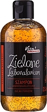 Fragrances, Perfumes, Cosmetics Aromatherapy Shampoo with Essential Oils - Zielone Laboratorium