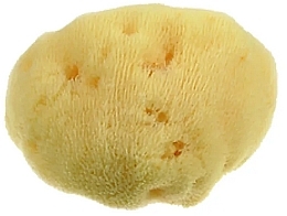Body Sponge, 10 cm - Himalaya dal 1989 Alcea Spugna Di Mare Fine Right — photo N1