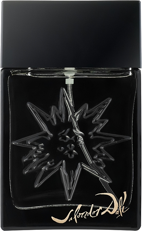 Salvador Dali Black Sun - Eau de Toilette — photo N1