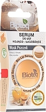 Fragrances, Perfumes, Cosmetics Smoothing Lip Balm - Bioteq Bio Lip Serum Smoothing