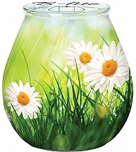 Summer Meadow Decorative Candle - Bispol Candle B-Lite Summer Meadow — photo N1