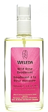 Body Deodorant "Rose" - Weleda Wild Rose Deodorant — photo N2