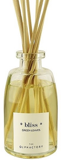Fragrance Diffuser - Ambientair The Olphactory Bliss Green Leaves Fragance Diffuser — photo N2