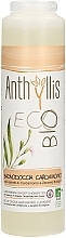 Fragrances, Perfumes, Cosmetics Cardamom & Ginger Shower Gel - Anthyllis Cardamom and Ginger Shower Gel