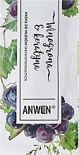 Fragrances, Perfumes, Cosmetics Medium-Porous Hair Mask - Anwen Medium-Porous Hair Mask Grapes and Keratin (sample)