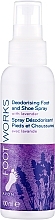 Fragrances, Perfumes, Cosmetics Lavender Foot & Shoe Spray - Avon Foot Works Deodorising Foot And Shoe Spray With Lavender