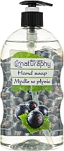 Fragrances, Perfumes, Cosmetics Black Currant & Aloe Vera Hand Soap - Naturaphy Hand Soap